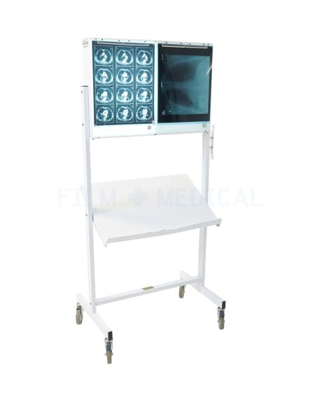 Free Standing Double X-Ray Lightbox